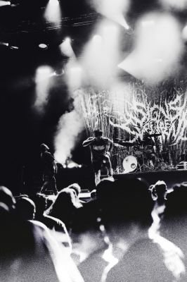 ©JessicaChrist_SignsOfTheSwarm_Gränichen_20260802_A7403764