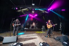 acht_eimer_huehnerherzen-8344