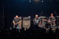 the_descendents-2-16