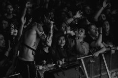 OAG25_©ManuelaHaltiner_PalayeRoyal_20250801__NIK8691