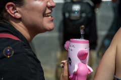 DSC_0242
