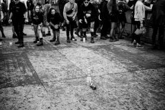 OAG25_©RolandMorgenthaler_stimmung_20250802_DSC_7823-2-Bearbeitet